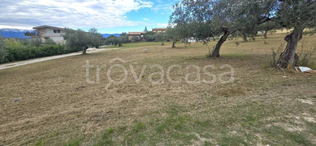 immagine annuncio 2 di 7