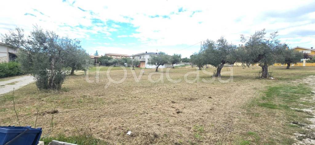 immagine annuncio 3 di 7