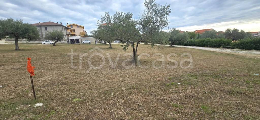 immagine annuncio 4 di 7