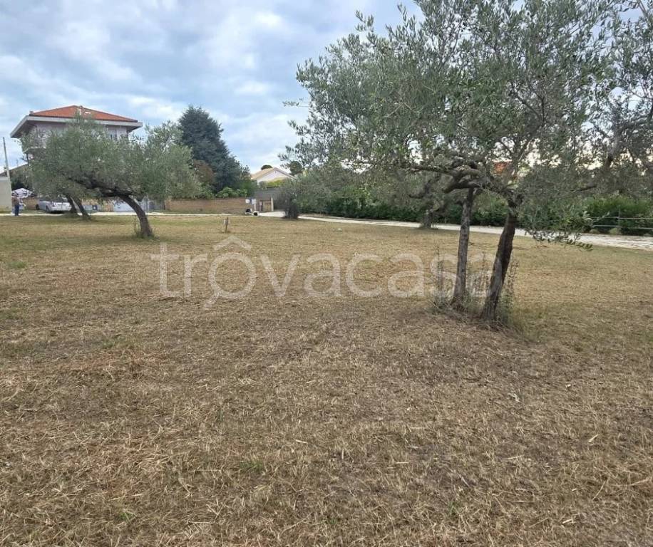 immagine annuncio 5 di 7