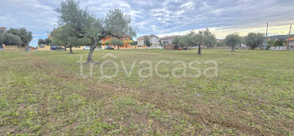 immagine annuncio 1 di 6