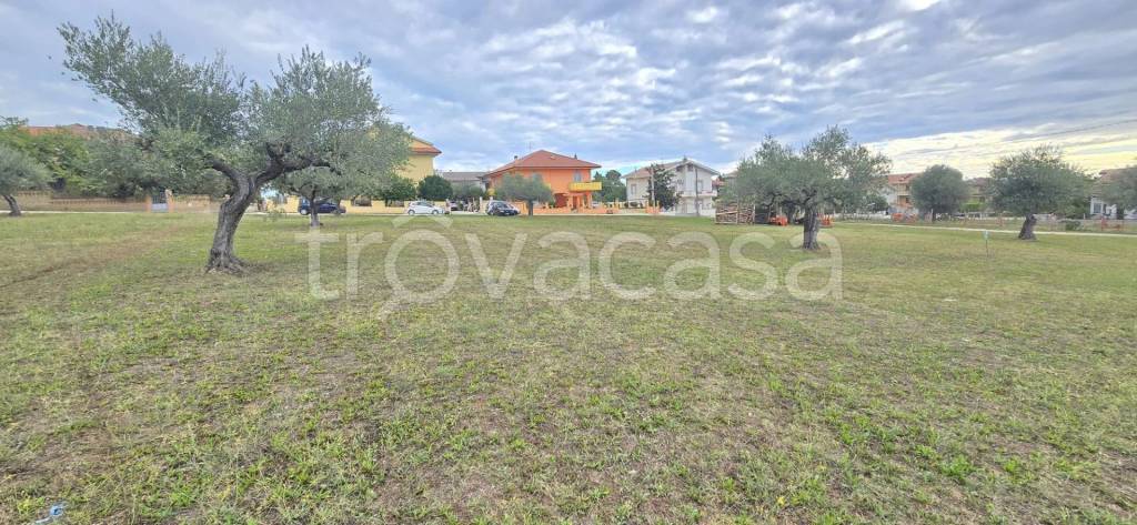 immagine annuncio 2 di 6