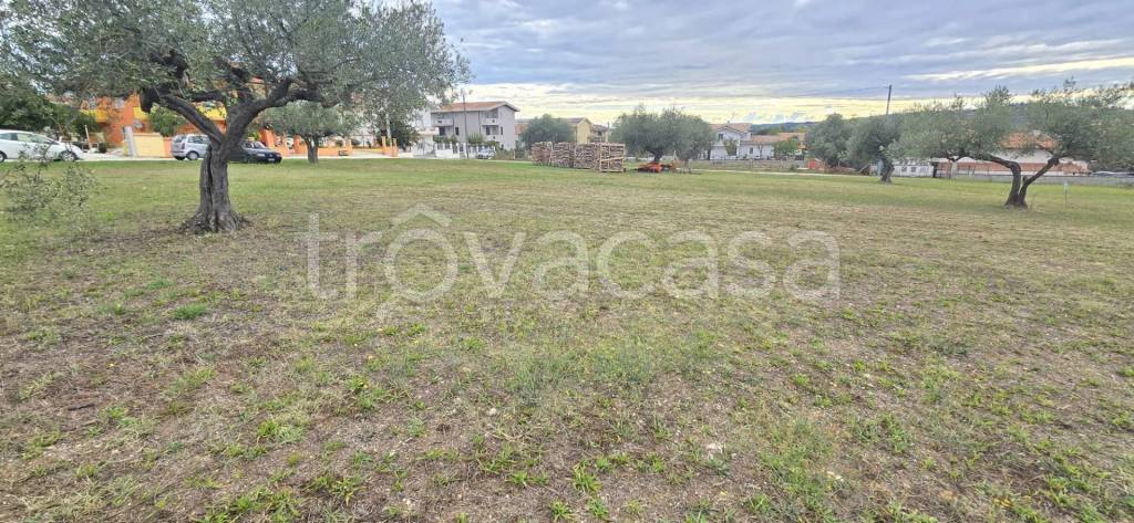 immagine annuncio 3 di 6