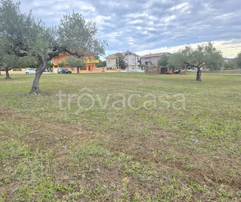 immagine annuncio 4 di 6