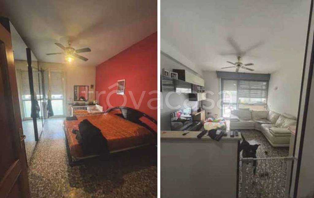 immagine annuncio 2 di 6