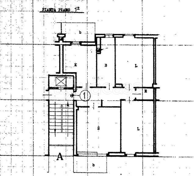 immagine annuncio 5 di 6