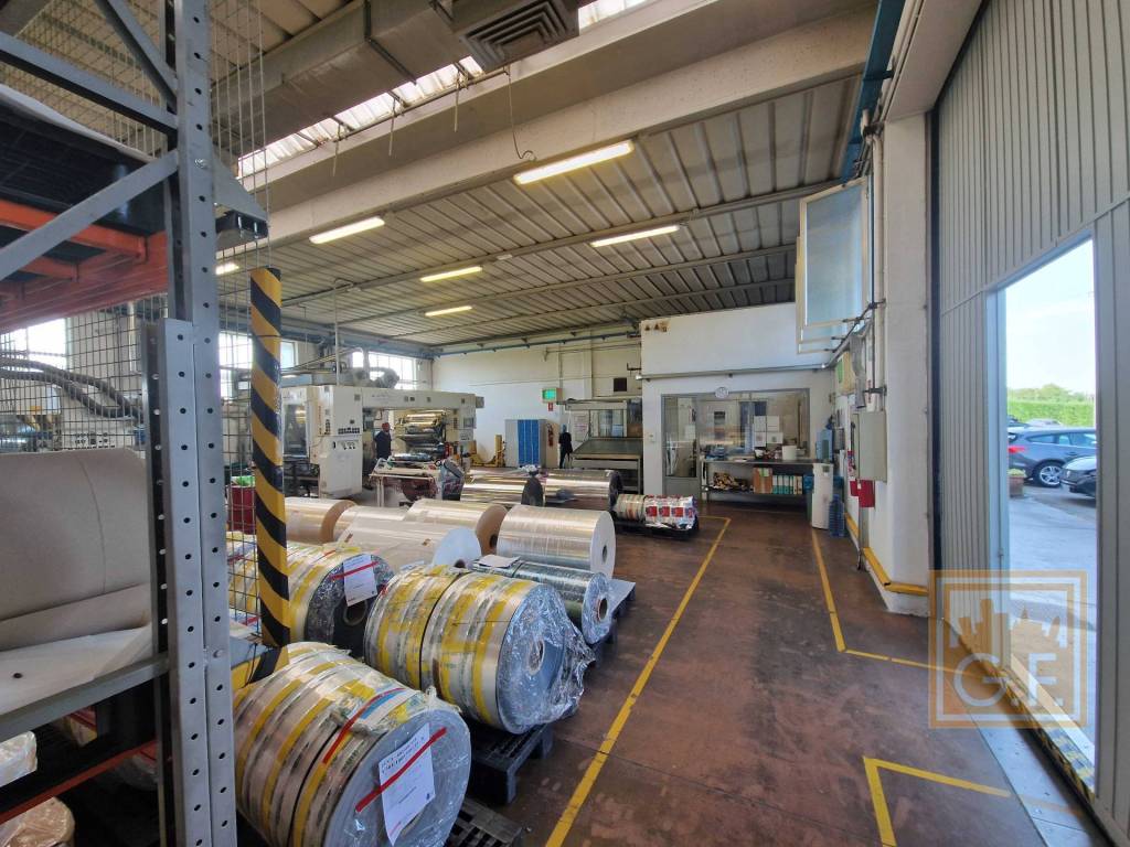 immagine annuncio 5 di 15