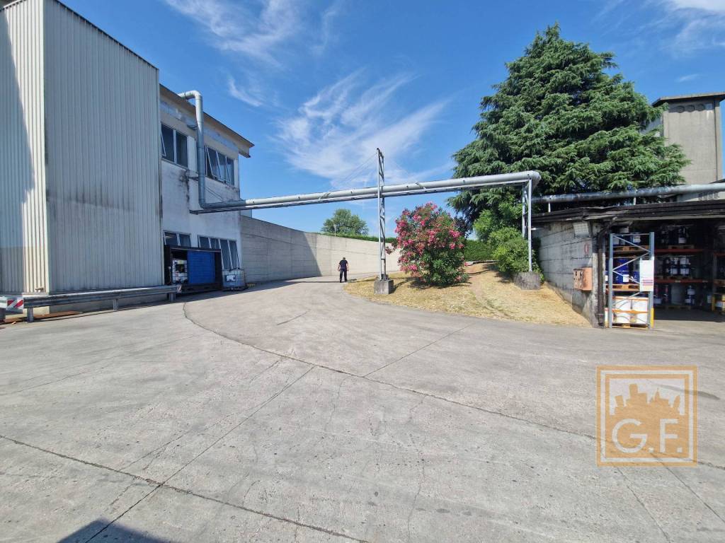 immagine annuncio 12 di 15