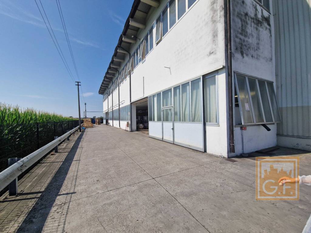 immagine annuncio 13 di 15