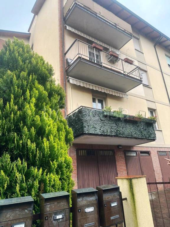 immagine annuncio 8 di 14