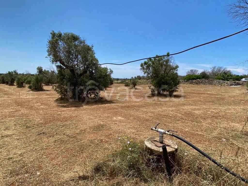 immagine annuncio 2 di 11