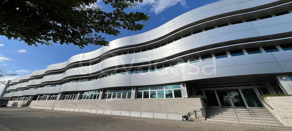 immagine annuncio 5 di 14