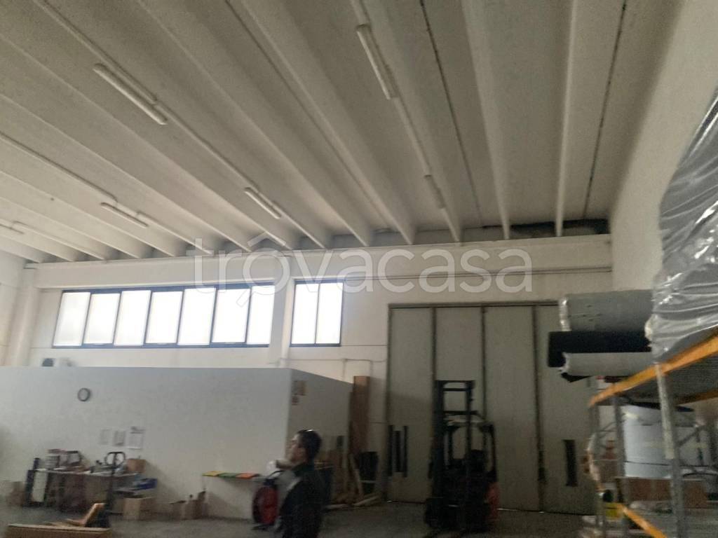 immagine annuncio 3 di 9