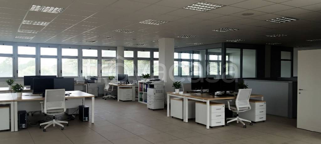 immagine annuncio 8 di 14