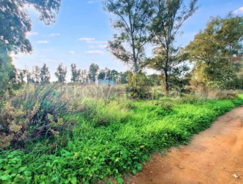 immagine annuncio 9 di 11