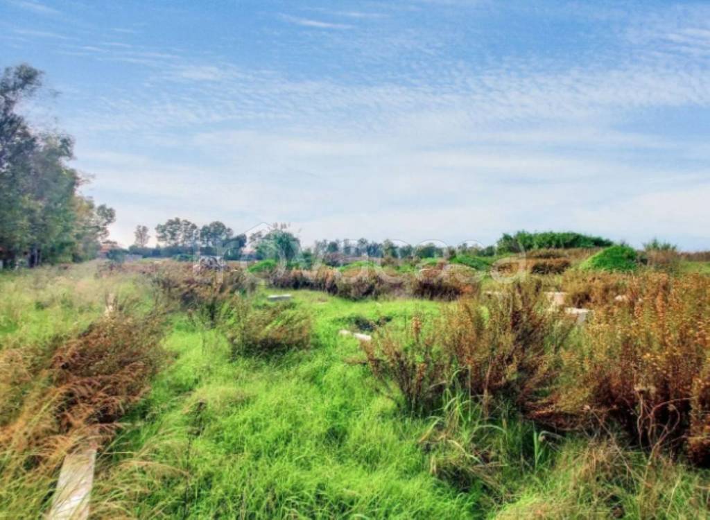 immagine annuncio 1 di 8