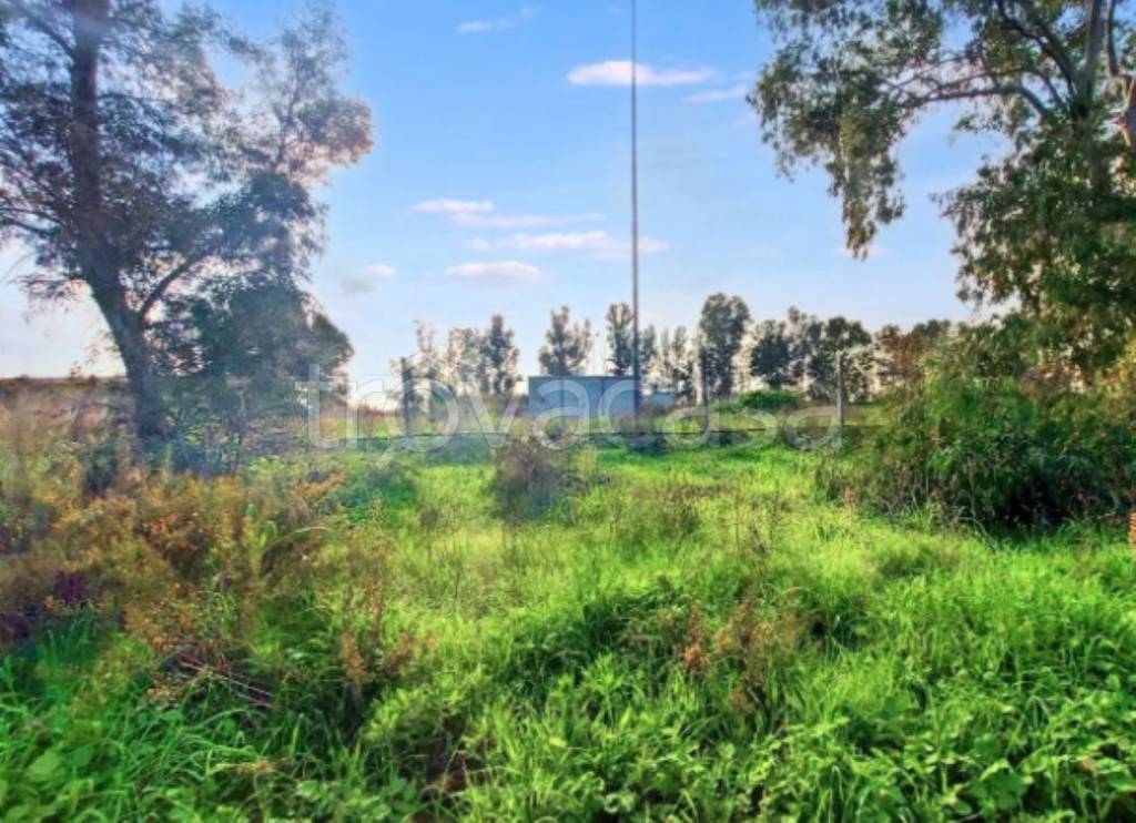 immagine annuncio 10 di 11