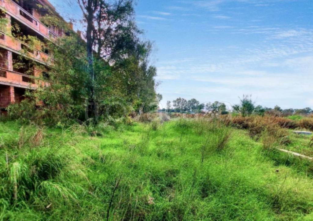 immagine annuncio 2 di 8