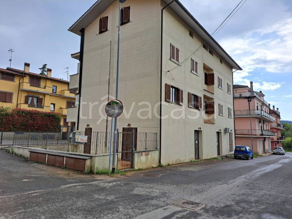 immagine annuncio 12 di 14