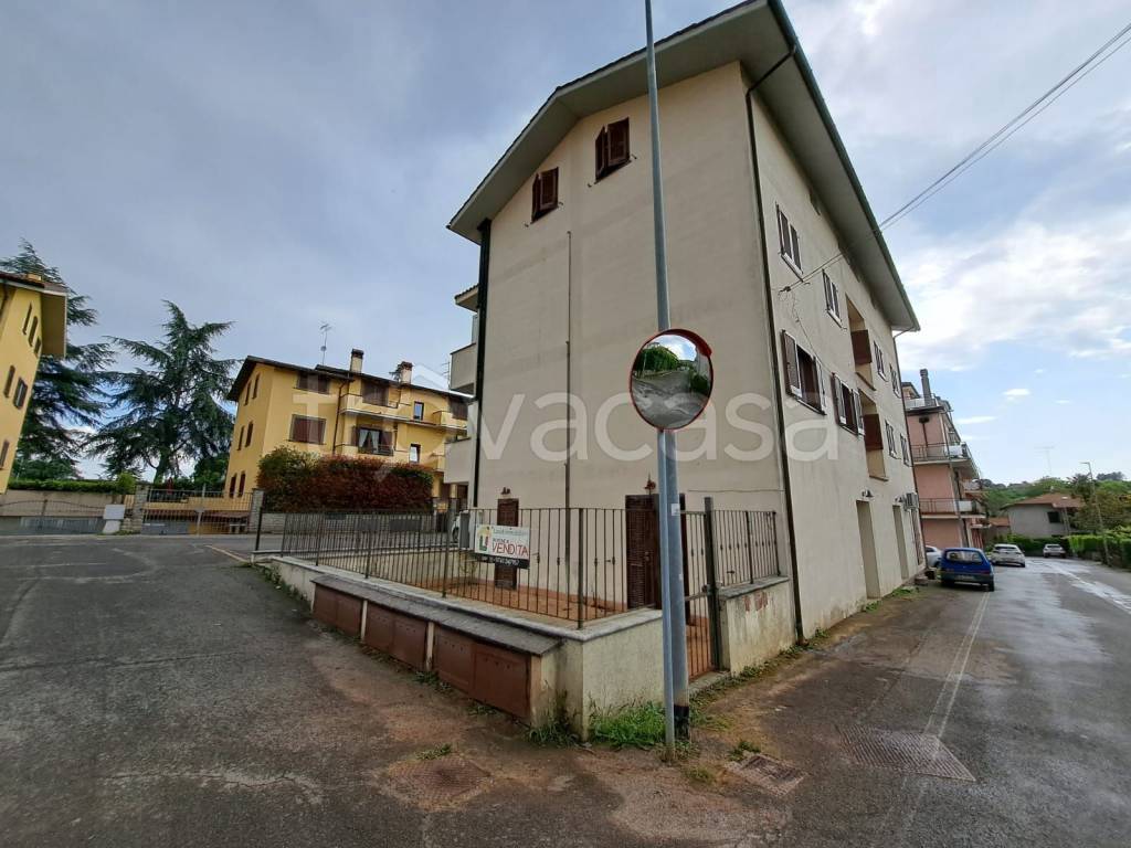 immagine annuncio 13 di 14