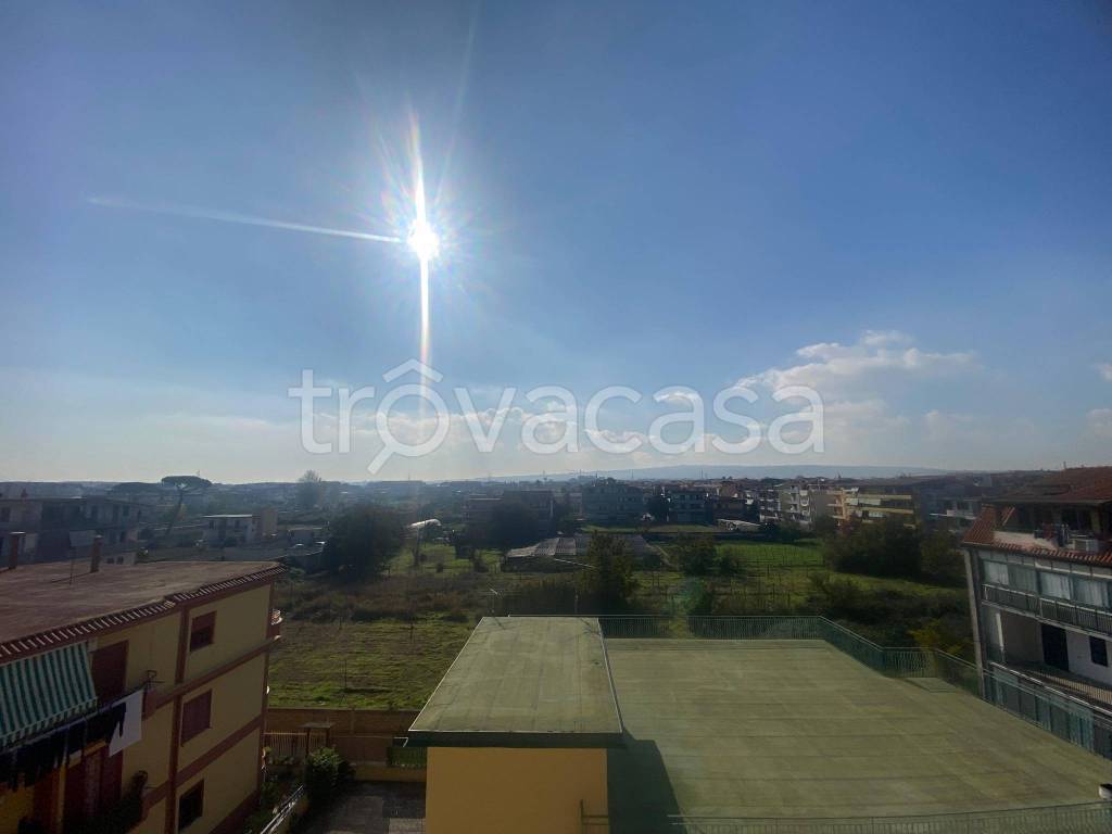 immagine annuncio 2 di 14