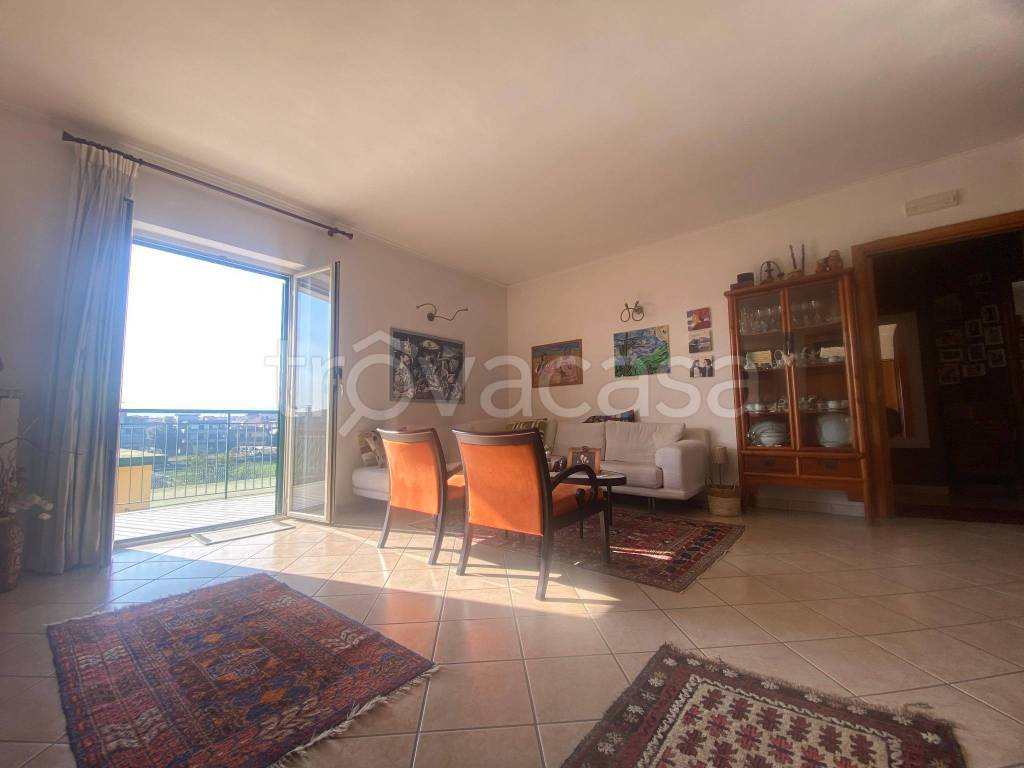 immagine annuncio 4 di 14