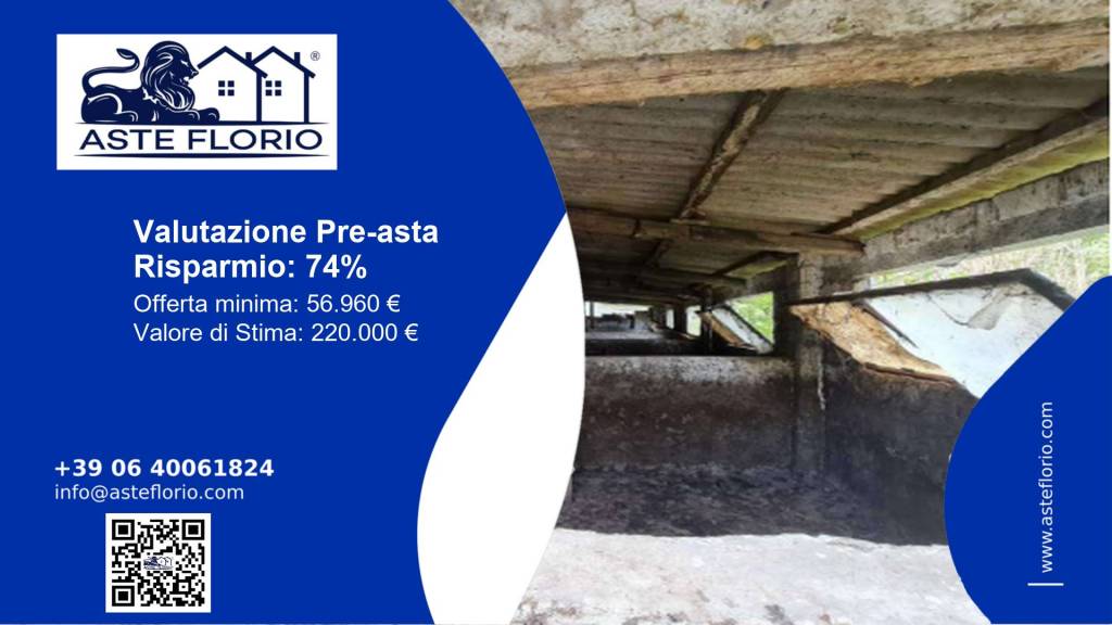 immagine annuncio 1 di 12