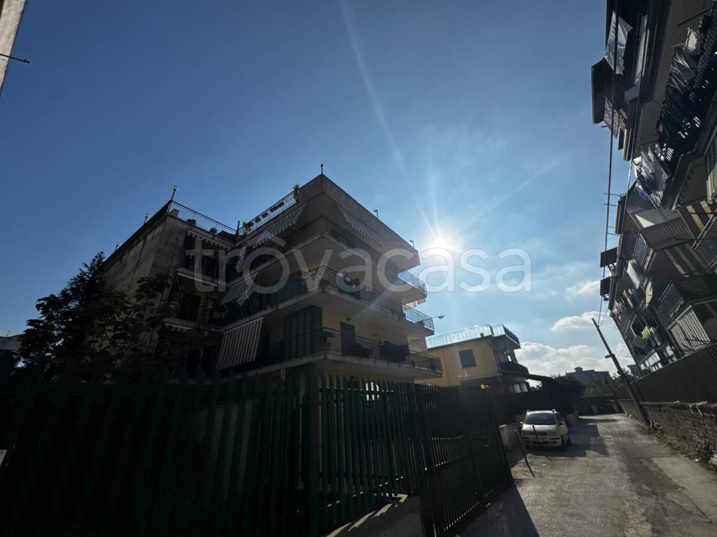 immagine annuncio 12 di 14