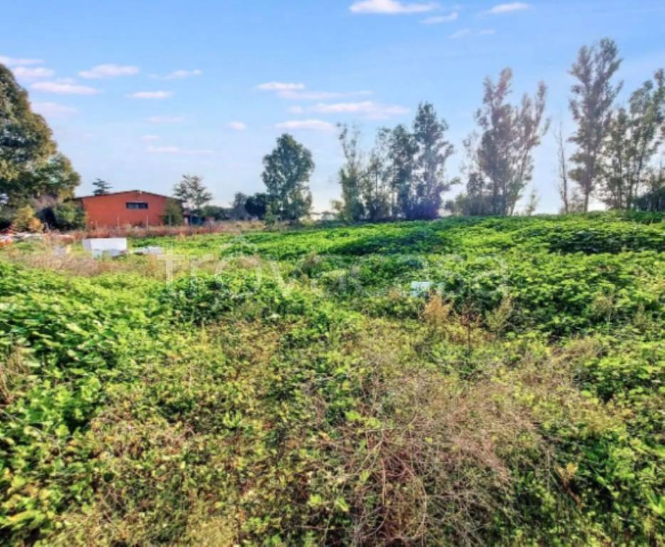 immagine annuncio 8 di 11