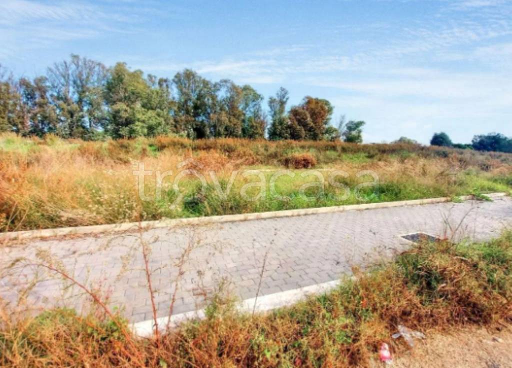 immagine annuncio 3 di 11