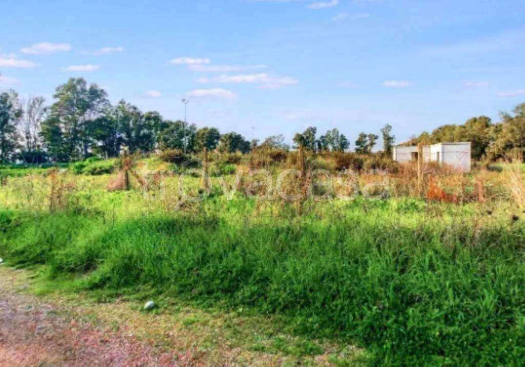 immagine annuncio 10 di 11