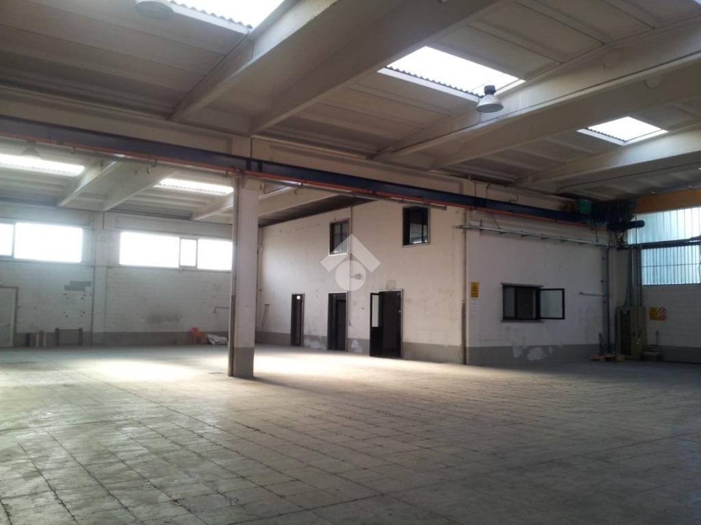 immagine annuncio 11 di 15