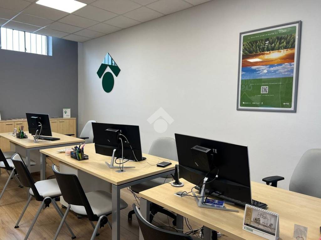 immagine annuncio 11 di 13