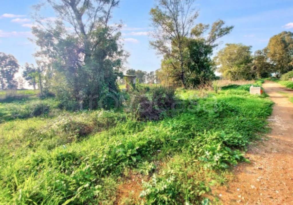 immagine annuncio 6 di 11