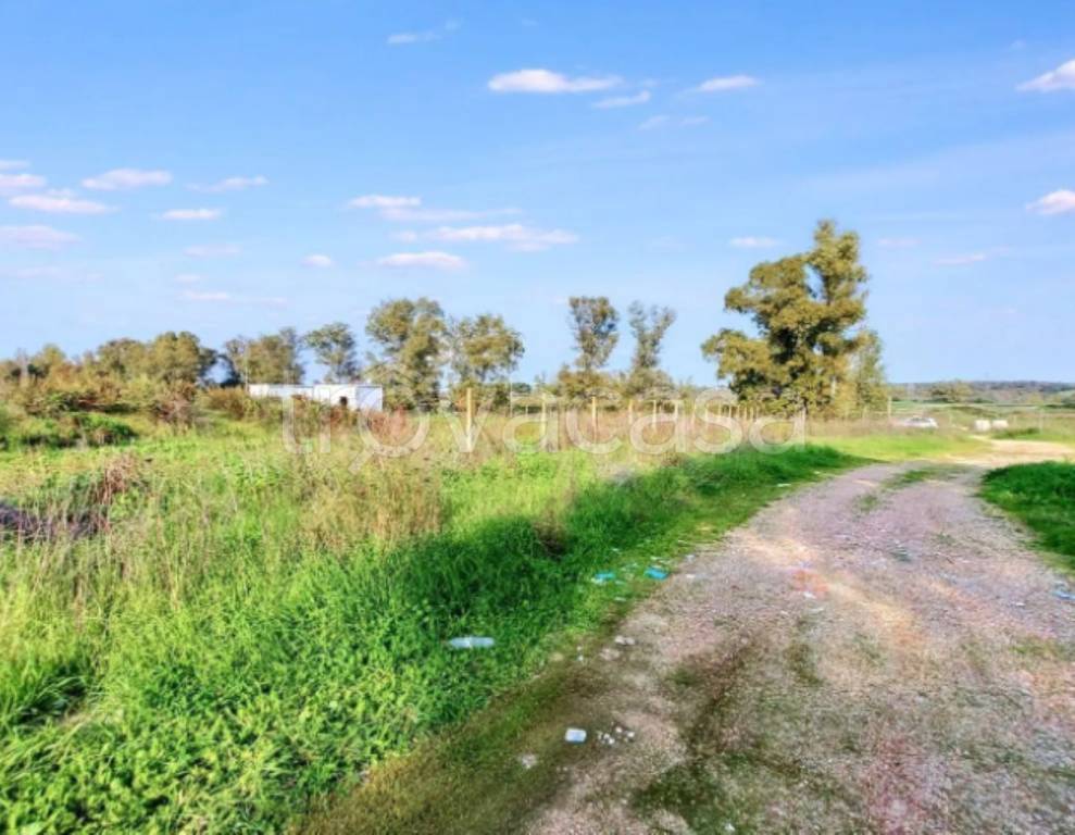 immagine annuncio 10 di 11