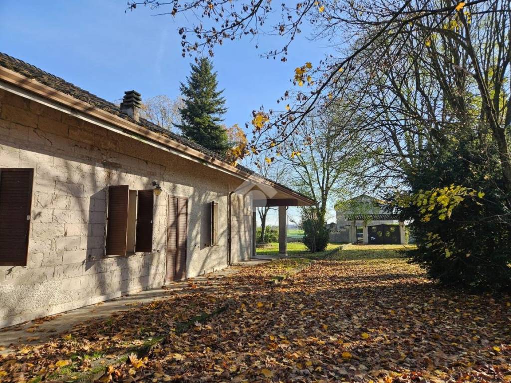 immagine annuncio 8 di 15