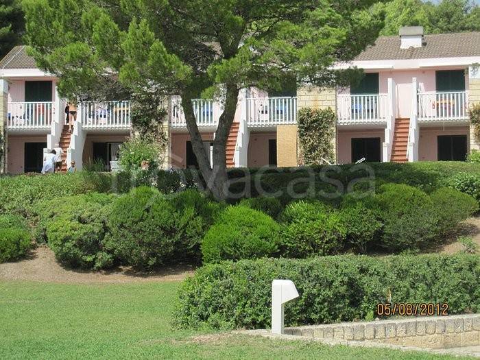 immagine annuncio 8 di 11