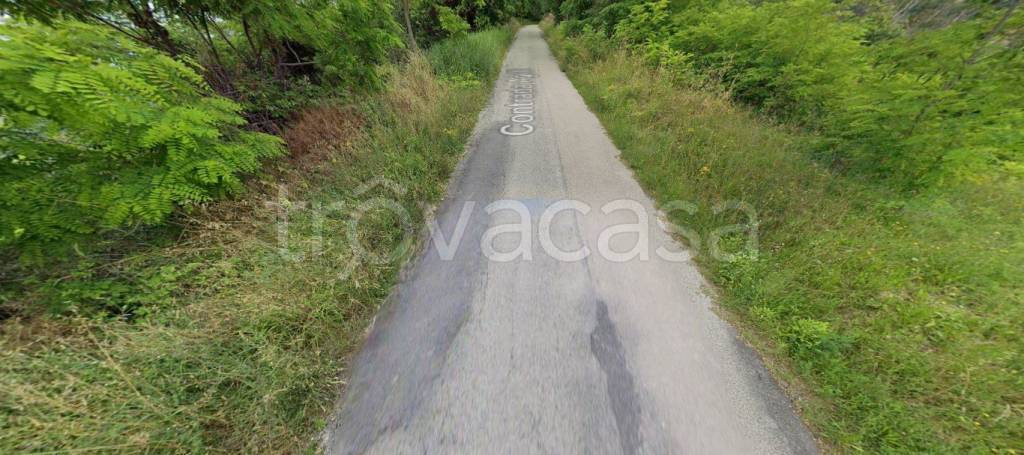 immagine annuncio 8 di 11