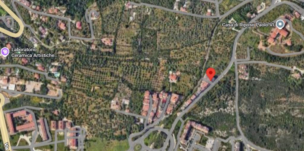 immagine annuncio 10 di 11