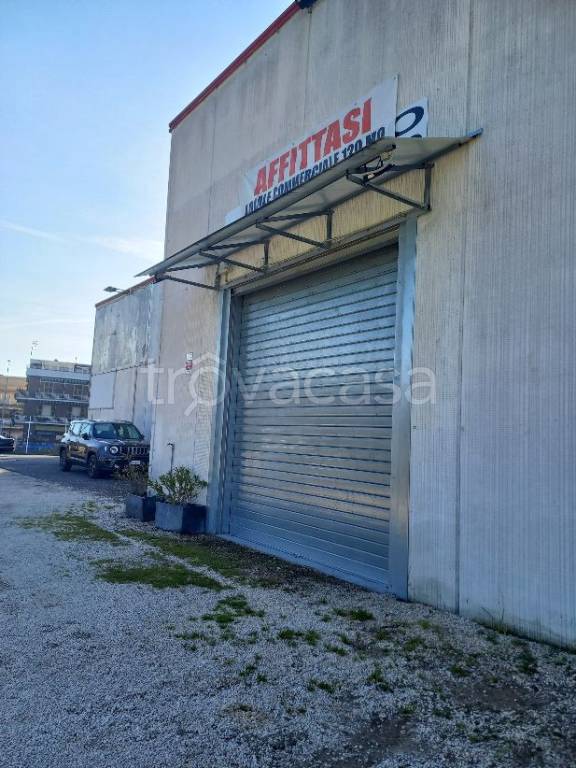 immagine annuncio 4 di 8