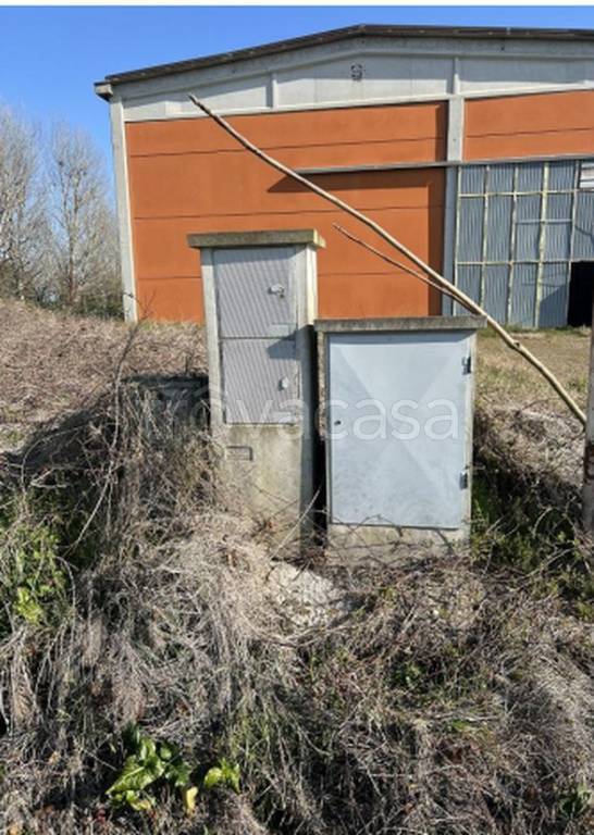 immagine annuncio 7 di 10