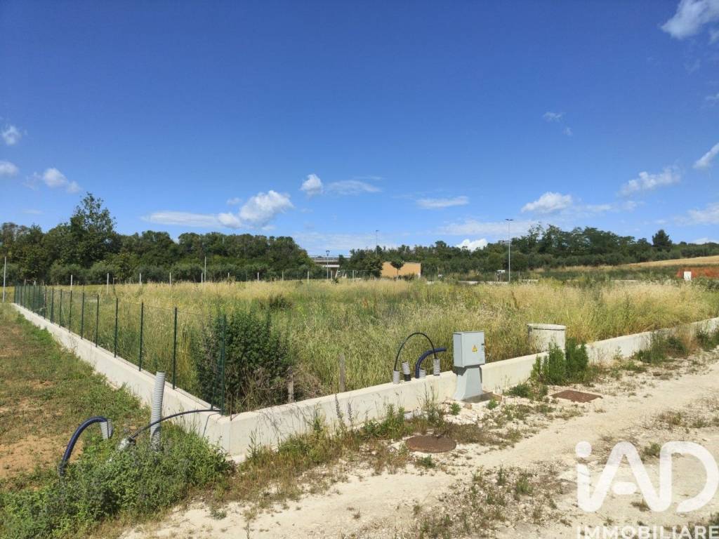 immagine annuncio 5 di 8