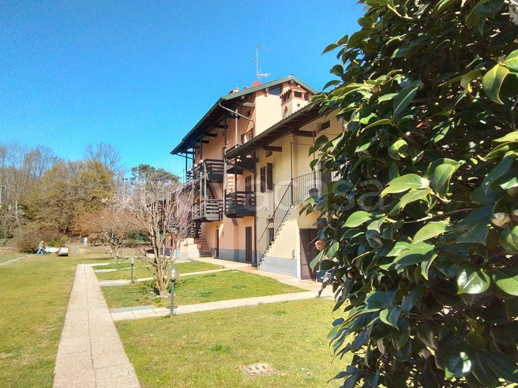 immagine annuncio 1 di 15