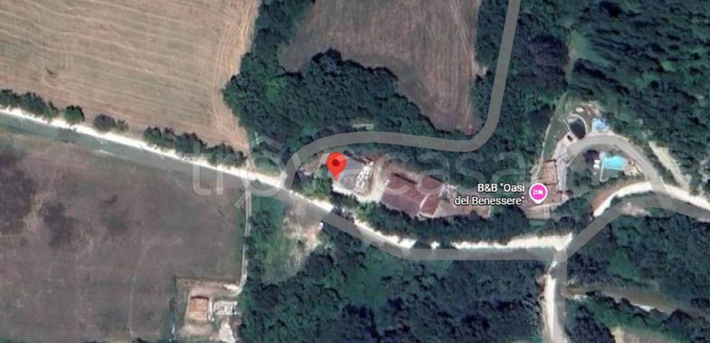 immagine annuncio 2 di 11