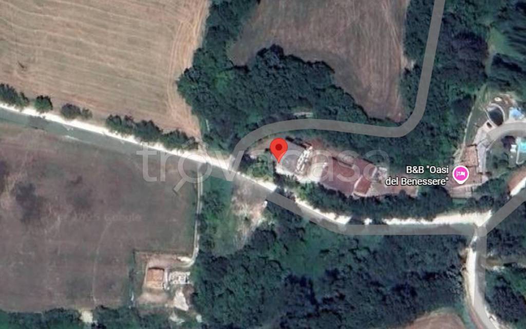 immagine annuncio 3 di 11