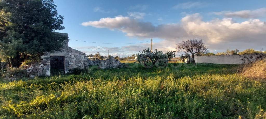 immagine annuncio 5 di 11