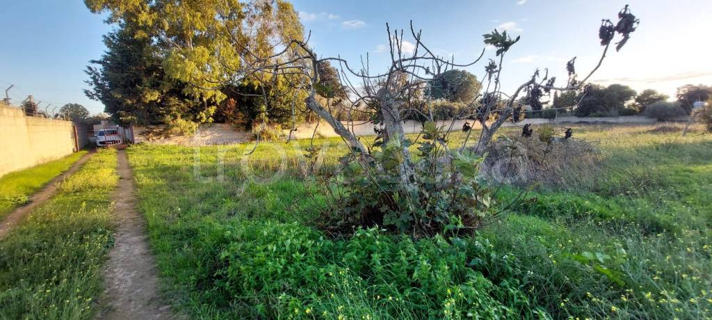 immagine annuncio 6 di 11