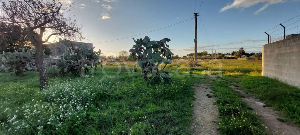 immagine annuncio 7 di 11