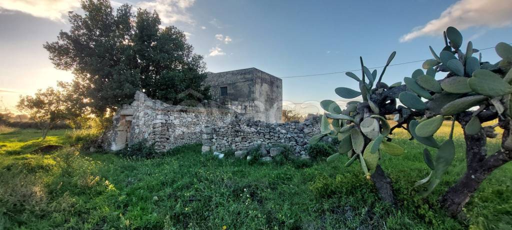 immagine annuncio 8 di 11