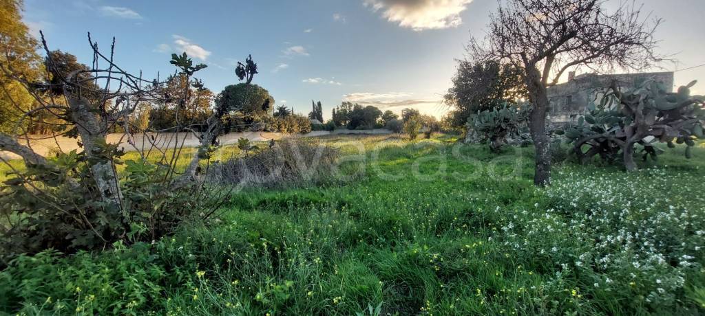 immagine annuncio 9 di 11